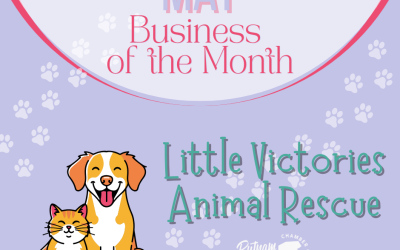 May Business of the Month-Little Victories Animal Shelter