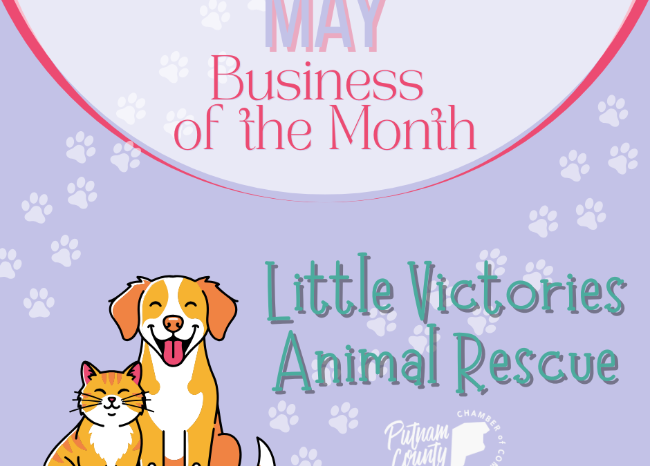May Business of the Month-Little Victories Animal Shelter